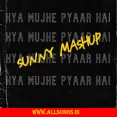 Kya Mujhe Pyaar Hai (Mashup) - DJ Sunny