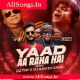 Yaad Aa Raha Hai (Remix) - Dj TNY X Dj Ashish Saha