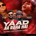 Yaad Aa Raha Hai (Remix) - Dj TNY X Dj Ashish Saha