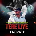 Tere Liye (Afro House) - DJ PRD