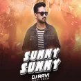 Sunny Sunny (Desi Tech) - DJ Ravi