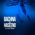 Bachna Ae Haseeno (Remix) - DJ Lucky