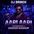 Aari Aari (Banger Mashup) - DJ Brinox