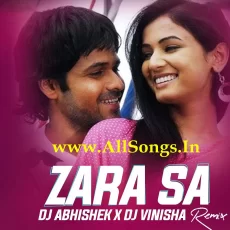 Zara Sa (Remix 2024) - DJ Abhishek  DJ Vinisha
