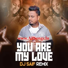 You Are My Love (Remix) - DJ Saif