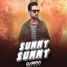 Sunny Sunny (Desi Tech) - DJ Ravi Sunny Sunny (Desi Tech) - DJ Ravi