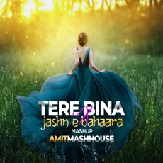 Tere Bina x Jashn E Bahara (Mashup) - Amitmashhouse