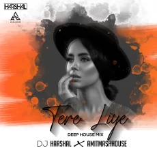 Tere Liye (Deep House) - DJ Harshal X Amitmashhouse