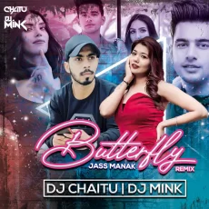 Butterfly (Remix) - DJ Chaitu  DJ Mink