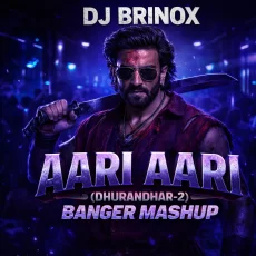 Aari Aari (Banger Mashup) - DJ Brinox
