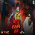 Bhatar Pushpa Raj Shilpi Raj  Bhojpuri Song 2025