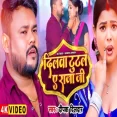 Dilwa Tutal Ae Raja Ji Deepak Dildar New #Bhojpuri Song 2025