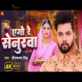 Ago Re Senurwa  Neelkaml Singh Neha Siddique  New Bhojpuri Song 2024