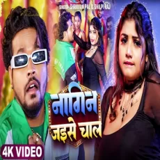 NAGIN JAISE CHAL Shilpi Raj Shravan Pal Rani Actress Bhojpuri Song 2025 NAGIN JAISE CHAL Shilpi Raj Shravan Pal Rani Actress Bhojpuri Song 2025
