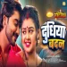 Dudhiya Badan Pradeep Pandey Chintu Priyanka Singh  Tanu Shree New Song