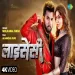 Licensee  Neelkamal Singh ft. Akanksha Puri  New Bhojpuri Song
