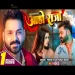 Aaho Raja Pawan Singh New Bhojpuri Song 2024