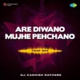 Are Diwano Mujhe Pehchano - Dj