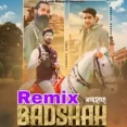 Badshah (Remix)