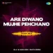 Are Diwano Mujhe Pehchano - Dj