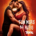 Tum Mere Na Huye Thamma